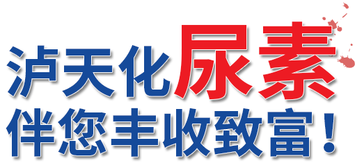 304am永利集团尿素